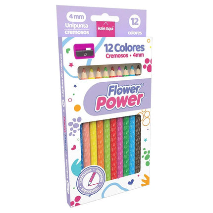 Colores Cremosos X12 | Tonos Suaves y Creativos