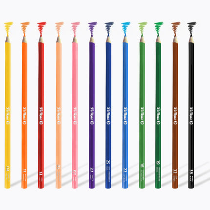 Lápices de Colores x36 Pelikan | Colores Intensos