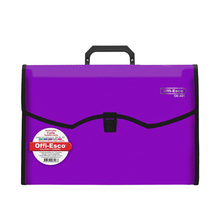 Archivador 13 bolsillos carta translúcido