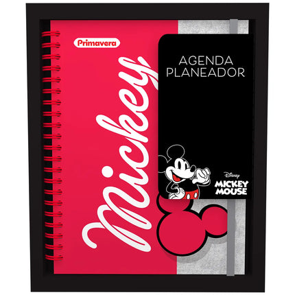 Planeador Mickey Mouse Primavera